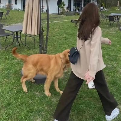 隔离但平等